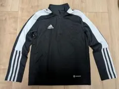 Item thumbnail for item 90201995-492a-4ef3-9533-f60b8a93a558