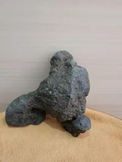 125 鑑賞石 水石 北海道 魚の形 - メルカリ
