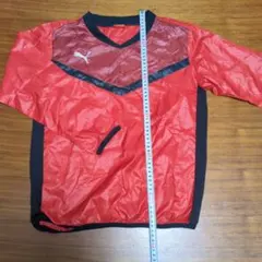 Item thumbnail for item 7143f6a1-e8d0-49a5-b96f-f4a993ef1636