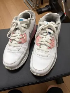 NIKE Air Max AIR MAX 90 LTR GS 24㎝