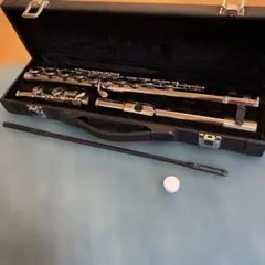 美品】Carina カリーナ フルート 管楽器 ケース付き 音楽 初心者 入門