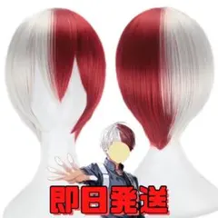 2026年最新】轟焦凍 コスプレ セットの人気アイテム - メルカリ