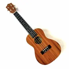 AKLOT ウクレレベース AKBU30 フレットレス 金属弦仕様 ケース付き
