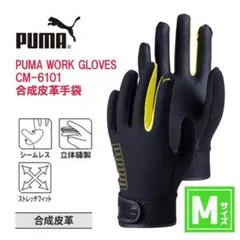 Item thumbnail for item dc21eda3-18ea-4105-86a2-466053df75b7