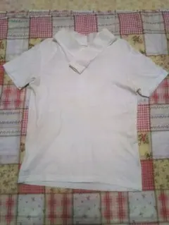 Item thumbnail for item d1187a94-d6f3-427c-add5-2c998043db06