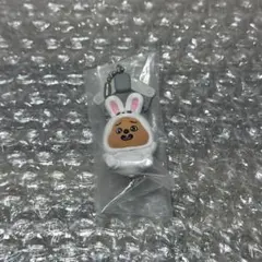 StrayKids Skzoo つまんでつなげてますこっとvol.2