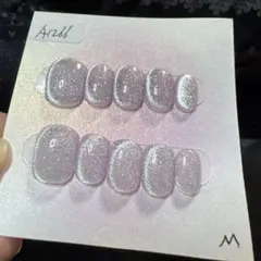 【セツ】マグネット　ネイルチップ　付け爪（A1266）