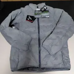 Item thumbnail for item c79c048b-4c73-4ee4-ad3d-28e27aa4ac50