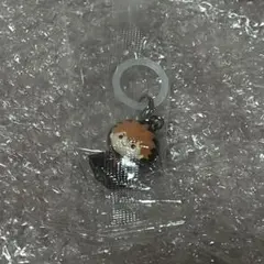 ハイキュー めじるしアクセサリー 日向翔陽