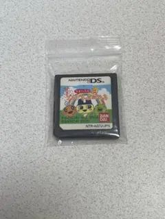 【起動確認済み】DS たまごっちのプチプチおみせっち　ソフトのみ