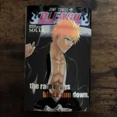 BLEACH THE REBOOTED SOULS 特別冊子 - メルカリ