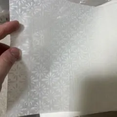 Item thumbnail for item 656b0bc9-de5e-4c2f-bfa7-373e01531038