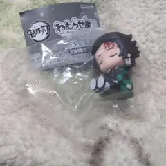 鬼滅の刃 ねむらせ隊3竈門炭治郎