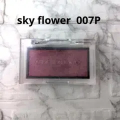 ADDICTION TOKYO パウダーチーク 007P