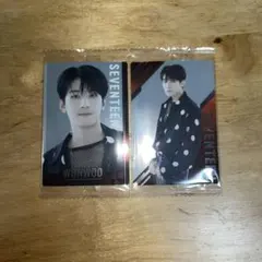 SEVENTEENウエハース　ウォヌ