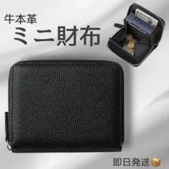 Item thumbnail for item 44278c90-0e9a-422d-89a9-a20770d02053