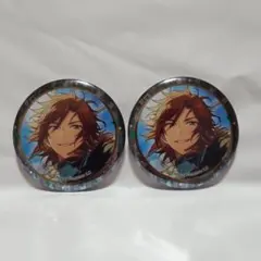 三毛縞斑 缶バッジ あんさんぶるスターズ! キャラバッジコレクション あんスタ