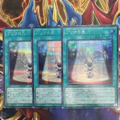 プリマの光　シークレット　3枚セット　シク
