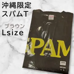 沖縄限定 Tシャツ