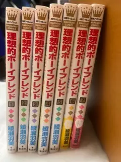 理想的ボーイフレンド 全巻セット