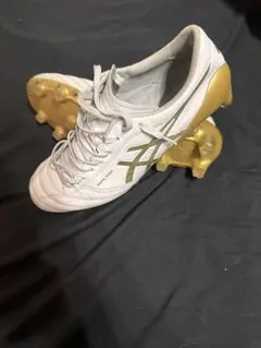 2025年最新】ds light x fly 4の人気アイテム - メルカリ