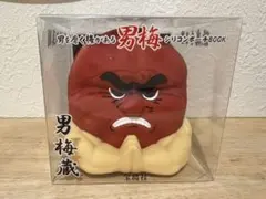 男梅 シリコンポーチ