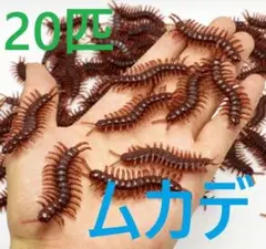 [20匹組ムカデ模型]おもちゃ百足むかで　生き物シリコン昆虫フィギュア動物ゴム虫