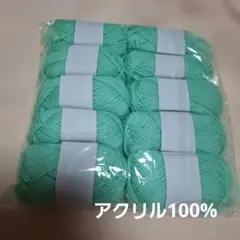 アクリル100% 毛糸 25g×10玉セット ライトグリーン