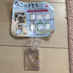 ガチャ ねこのきもち だれでもアクリルチャーム