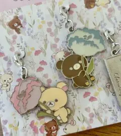 2025年最新】チャイロイコグマストアの人気アイテム - メルカリ