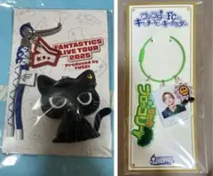 八木勇征 FANTASTICS メンプロ クーウィー　キャッチコピーキーホルダー