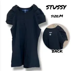 新品 未使用 stussy ステューシー カットソー Tシャツ ラグラン M