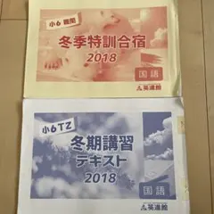 2026 英進館 TZ 理科 2026年最新】英進館 tzの人気アイテム - メルカリ