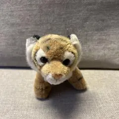 Item thumbnail for item 0bb89e8d-ad5d-41b6-8f82-32b1f5a7f2bd