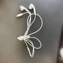 Apple有線イヤホン Lightning