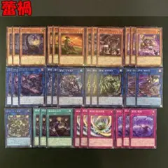 No.16983 遊戯王 蕾禍 デッキパーツ