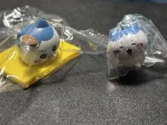 ハチワレセット