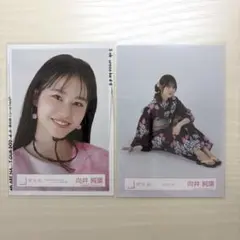 櫻坂46 向井純葉 生写真 3種セット - メルカリ