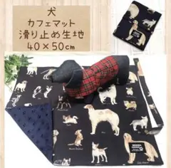 Item thumbnail for item ee03f162-4b7a-4a77-a7e9-8f35ace655c1