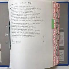 英検準1級(1次エッセイ、2次面接) スクリプト集(和英添削済) 1タイトル分