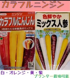 すらいむ様 リクエスト 2点 まとめ商品