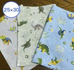 ★２セット限り★男の子に人気！　恐竜３枚★25×30 ランチマット　給食ナフキン