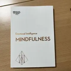 Emotional Intelligence: Mindfulness
