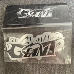 スキズ　giant メタリックステッカーセット