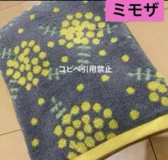 Item thumbnail for item 4c6c47af-14dc-4fc6-806f-917f3f115d3f