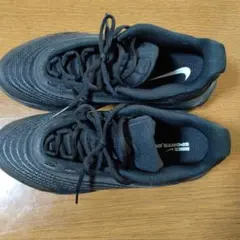 NIKE Air Max ブラックスニーカー