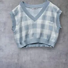 a2573 【チップクリップ】 Vネックニットベスト チェック　ブルーM