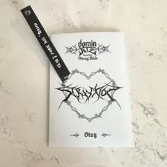 ♡スキズ ATE ソウル STAYZONE メッセージトレカ入れ ハン ジソン♡