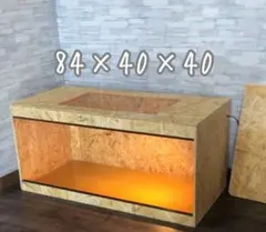 Item thumbnail for item 13f6c6d9-2dbb-44c9-9d25-f286ddc99054