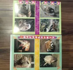 希少：動物園ポストカードセット